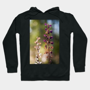 Lupine Hoodie